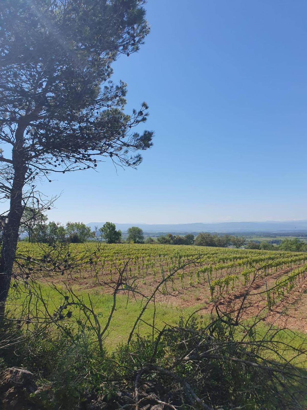 Maison De Charme Caunes-Minervois Exteriér fotografie